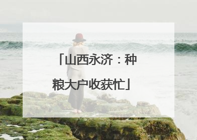 山西永济：种粮大户收获忙