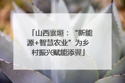 山西襄垣：“新能源+智慧农业”为乡村振兴赋能添翼