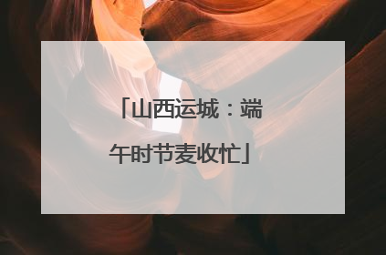 山西运城：端午时节麦收忙