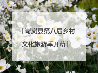 岢岚县第八届乡村文化旅游季开幕