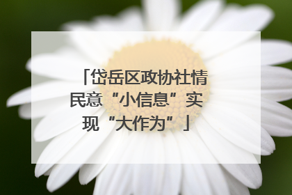 岱岳区政协社情民意“小信息”实现“大作为”