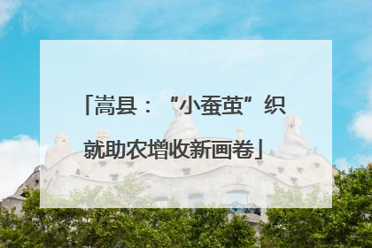 嵩县：“小蚕茧”织就助农增收新画卷