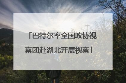 巴特尔率全国政协视察团赴湖北开展视察