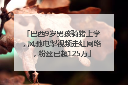 巴西9岁男孩骑猪上学，风驰电掣视频走红网络，粉丝已超125万