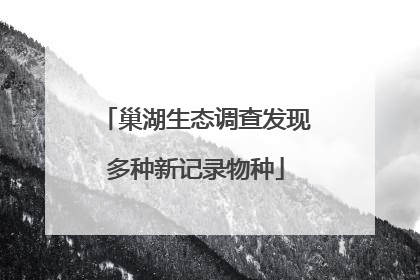 巢湖生态调查发现多种新记录物种