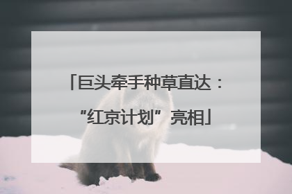 巨头牵手种草直达：“红京计划”亮相