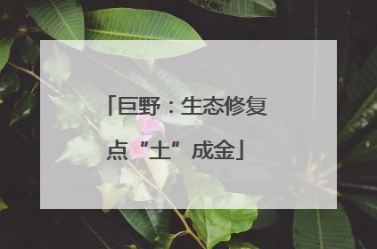 巨野：生态修复点“土”成金