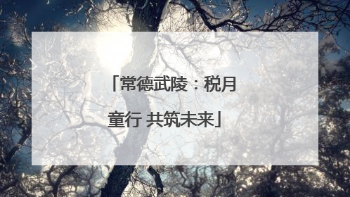 常德武陵：税月童行 共筑未来