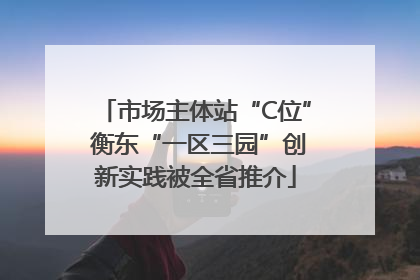 市场主体站“C位” 衡东“一区三园”创新实践被全省推介