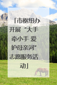 市枢纽办开展“大手牵小手 爱护母亲河”志愿服务活动