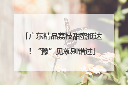 广东精品荔枝甜蜜抵达！“豫”见就别错过