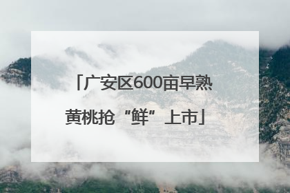 广安区600亩早熟黄桃抢“鲜”上市