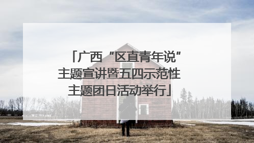 广西“区直青年说”主题宣讲暨五四示范性主题团日活动举行
