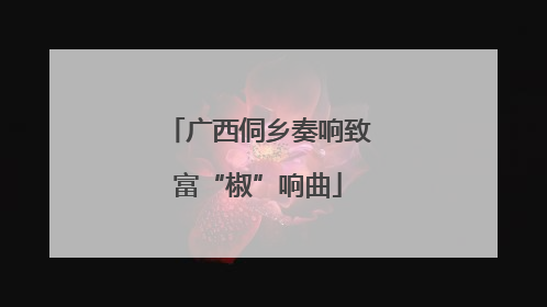 广西侗乡奏响致富“椒”响曲
