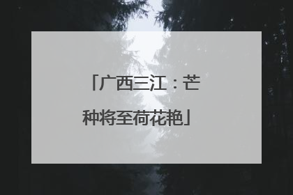 广西三江：芒种将至荷花艳