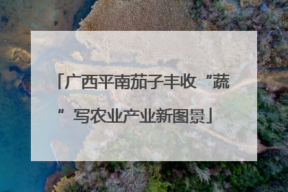 广西平南茄子丰收“蔬”写农业产业新图景