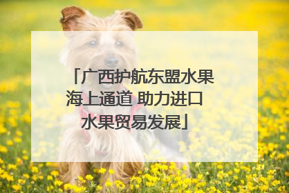 广西护航东盟水果海上通道 助力进口水果贸易发展