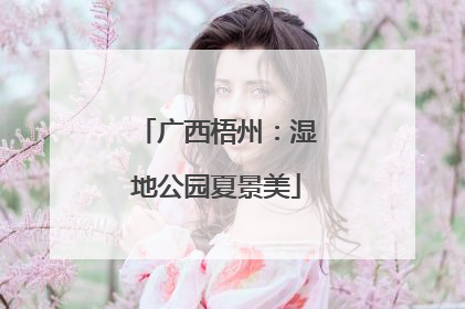 广西梧州：湿地公园夏景美