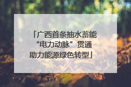 广西首条抽水蓄能“电力动脉”贯通 助力能源绿色转型