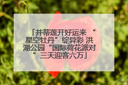 并蒂莲开好运来 “星空牡丹”绽异彩 洪湖公园“国际荷花派对”三天迎客六万