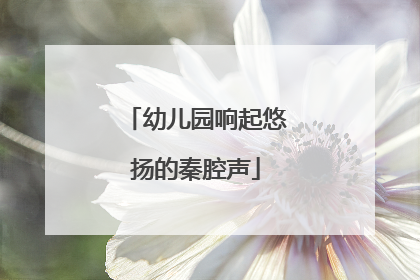 幼儿园响起悠扬的秦腔声
