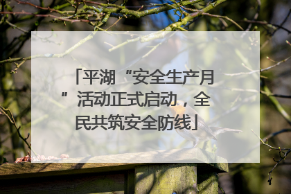 平湖“安全生产月”活动正式启动，全民共筑安全防线