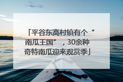 平谷东高村镇有个“南瓜王国”，30余种奇特南瓜迎来观赏季