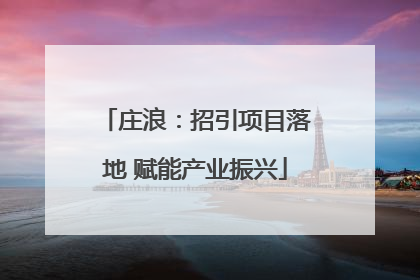 庄浪：招引项目落地 赋能产业振兴
