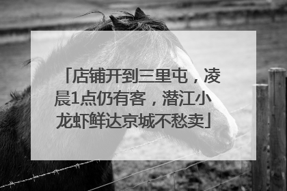 店铺开到三里屯，凌晨1点仍有客，潜江小龙虾鲜达京城不愁卖