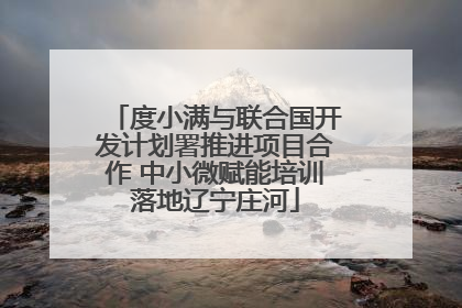 度小满与联合国开发计划署推进项目合作 中小微赋能培训落地辽宁庄河