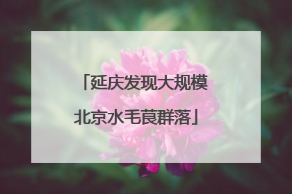 延庆发现大规模北京水毛茛群落