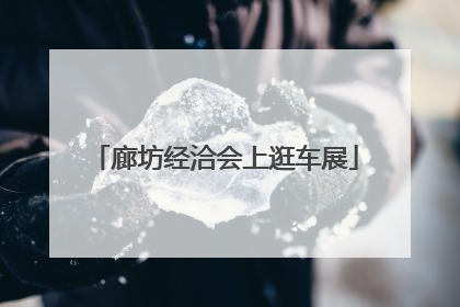 廊坊经洽会上逛车展