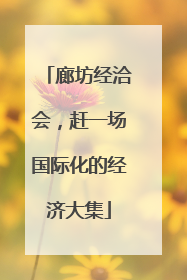 廊坊经洽会，赶一场国际化的经济大集