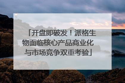 开盘即破发！派格生物面临核心产品商业化与市场竞争双重考验