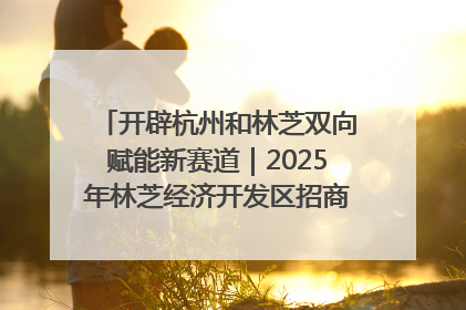 开辟杭州和林芝双向赋能新赛道｜2025年林芝经济开发区招商引资（杭州）推介展销活动在杭举办