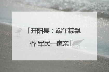开阳县：端午粽飘香 军民一家亲