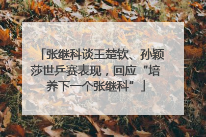 张继科谈王楚钦、孙颖莎世乒赛表现，回应“培养下一个张继科”