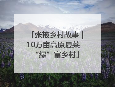 张掖乡村故事｜10万亩高原夏菜“绿”富乡村