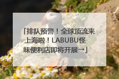 排队预警！全球顶流来上海啦！LABUBU怪味便利店即将开展→