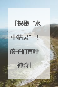 探秘“水中精灵”！孩子们直呼神奇