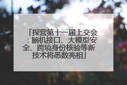 探营第十一届上交会：脑机接口、大模型安全、跨境身份核验等新技术将悉数亮相