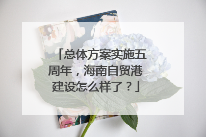 总体方案实施五周年，海南自贸港建设怎么样了？