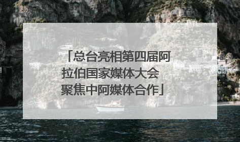 总台亮相第四届阿拉伯国家媒体大会 聚焦中阿媒体合作