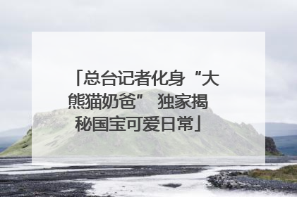 总台记者化身“大熊猫奶爸” 独家揭秘国宝可爱日常