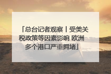 总台记者观察丨受美关税政策等因素影响 欧洲多个港口严重拥堵