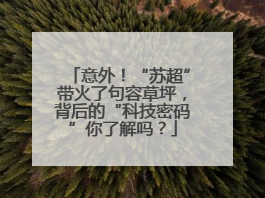 意外！“苏超”带火了句容草坪，背后的“科技密码”你了解吗？