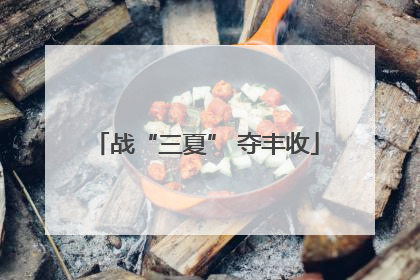战“三夏” 夺丰收