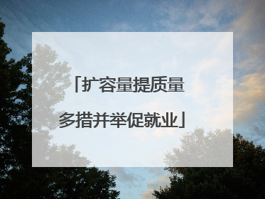 扩容量提质量 多措并举促就业