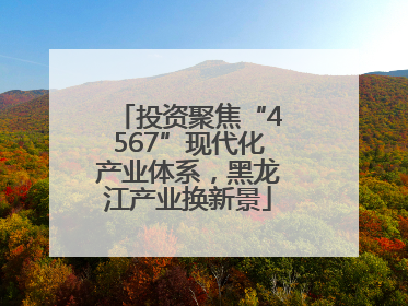 投资聚焦“4567”现代化产业体系，黑龙江产业换新景