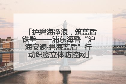 护碧海净浪，筑蓝盾铁壁——浦东海警“沪海安澜·碧海蓝盾”行动织密立体防控网
